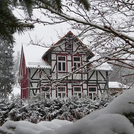 Harzhaus Schneewittchen Sorge
