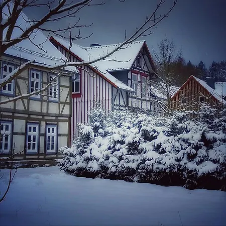 Apartment Harzhaus Schneewittchen Sorge