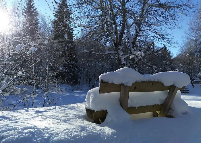 Harzhaus Schneewittchen